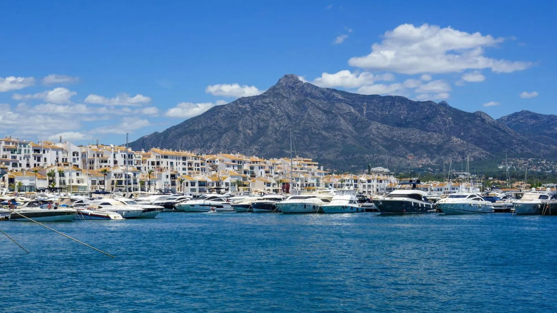 Apartment Los Naranjos Marbella